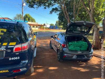 PRF apreende 355 Kg de maconha em Maracaju