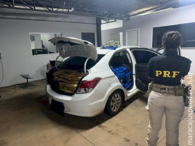 PRF apreende 650 Kg de maconha em Ponta Porã (MS) 