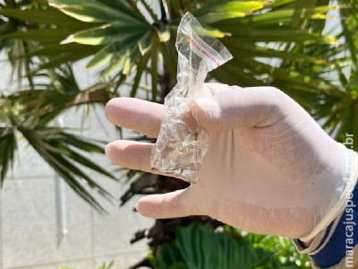 Mato Grosso do Sul registra 107 casos confirmados de dengue 