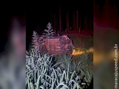 Motorista atropela javali, capota carro e fica ferido na BR-376 