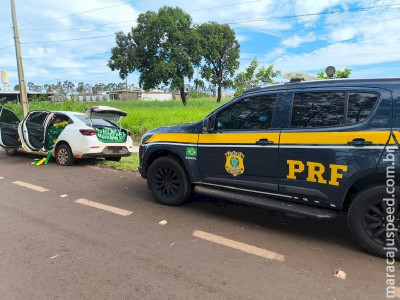 PRF apreende 1 tonelada de maconha em Campo Grande (MS) 