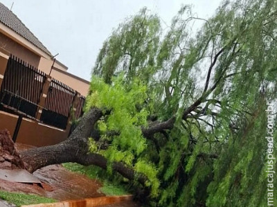 São Gabriel do Oeste acumula 532 milímetros de chuva em 5 dias