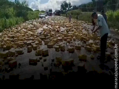 Carreta com carga de cerveja tomba na BR-262 e provoca confusão