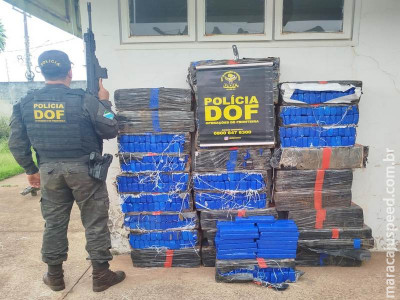 DOF apreende quase meia tonelada de maconha em Mundo Novo