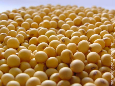  Preço da soja cai no Brasil após sequências de altas