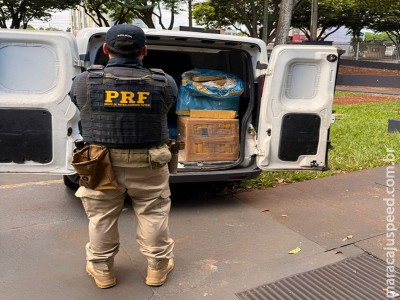 PRF apreende 351 Kg de maconha em Dourados (MS)