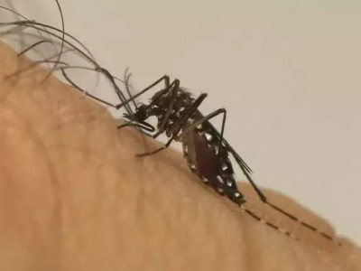 Adolescente de 13 anos morre com suspeita de dengue em Corumbá