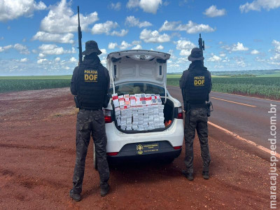 DOF apreende carga de celular avaliada em quase R$ 2 milhões