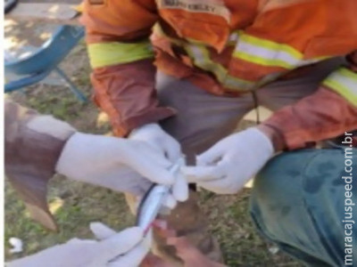 Bombeiros socorrem pescador acidentado com anzol no Pantanal