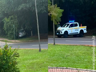 Carro amanhece em meio ao mato no Parque dos Poderes