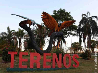Homem é esfaqueado no braço em lava-rápido de Terenos