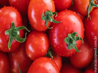  Drones são avaliados na aplicação em tomate