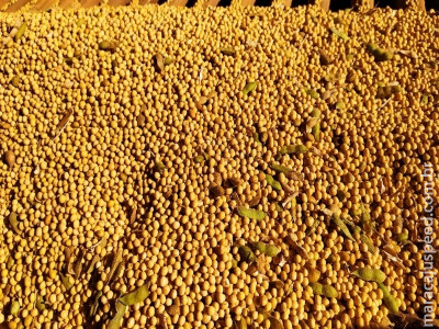 Mercados agrícolas abrem semana com sinais mistos
