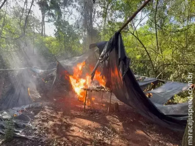 Três acampamentos são queimados com 1,8 tonelada de maconha