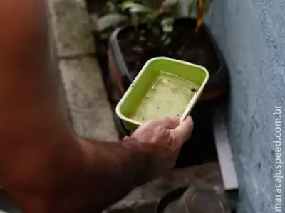 Quase metade dos municípios está em alerta para o Aedes aegypti