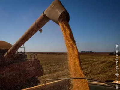  Seguro rural: nova lei proíbe bloqueio de recursos do subsídio