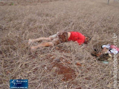 Morte no terceiro capotamento em menos de três dias