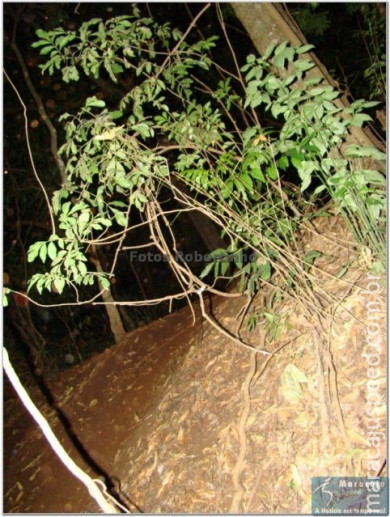 Trilheiros noturnos em Maracaju