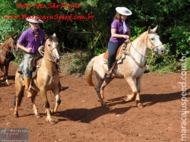 5ª Cavalgada a Nossa Senhora Aparecida em Maracaju 