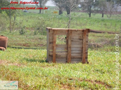 Inauguração da mais nova área de lazer em Maracaju o Shooter Paintball