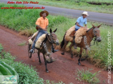 Cavalgada Festa São Sebastião 20/01/2011