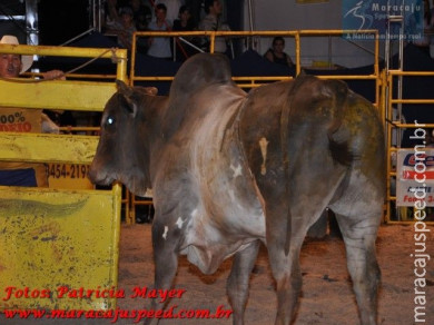6ª Etapa Rodeio Nacional - 1º Dia