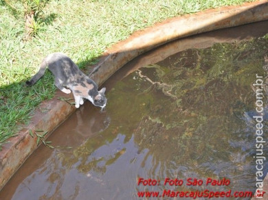 Aniversário João Gilberto Marcondes 23/04/2011