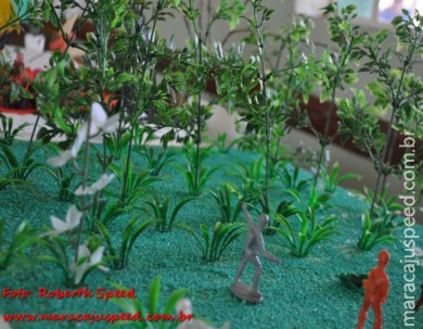 Fotos: Projeto de Leitura