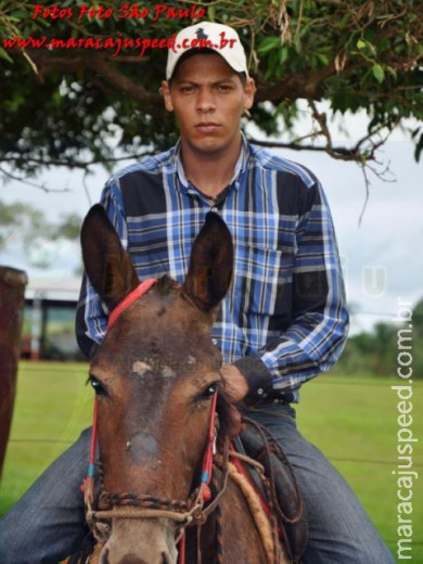 Curso de Doma realizado na Fazenda Deserto