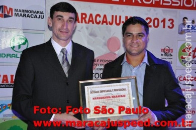 Destaque Empresarial 2013