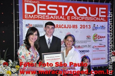 Destaque Empresarial 2013