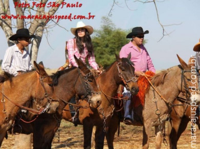 APAE de Maracaju e Comitiva Serra de Maracaju na 2ª Cavalgada APAEXONADOS