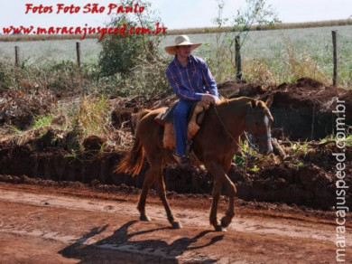 APAE de Maracaju e Comitiva Serra de Maracaju na 2ª Cavalgada APAEXONADOS