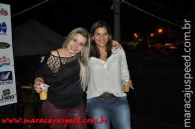 20ª Festa da Linguiça Show Luan Santana