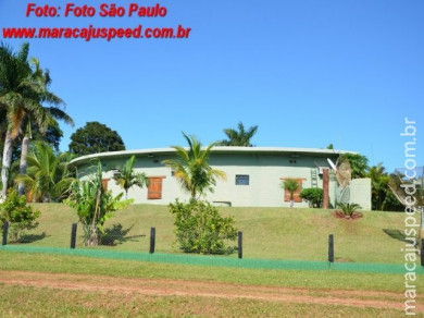 Aniversário Senhora Syra Alves Correa e Senhor Antônio Alves Correa pais de Rovilson Correa 08/01/15