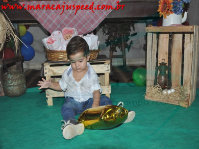 Aniversário de 01 ano de Noan Gabriel 