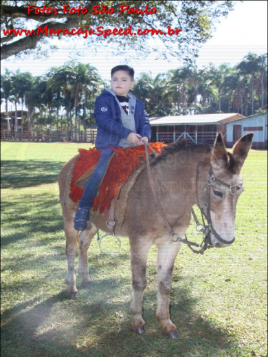 Aniversário TAINÁ CORRÊA DE SOUZA - 06/07/19