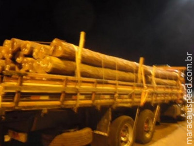 Caminhões são apreendidos com carga ilegal de aroeira e empresas multadas em R$ 47,7 mil