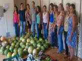 Rio Brilhante compra produção de agricultores familiares e distribui para 135 famílias e entidades