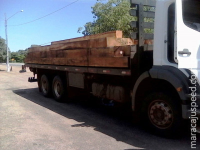 PMA apreende caminhão com carga ilegal de madeira