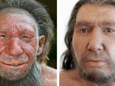 Neandertais dividiam o trabalho segundo o sexo, aponta estudo 