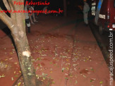 Maracaju: Motociclista é arremessado em árvore após colisão com veículo