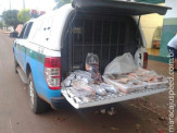 PMA prende dono de balneário com 61 kg de pescado ilegal no penúltimo dia de piracema