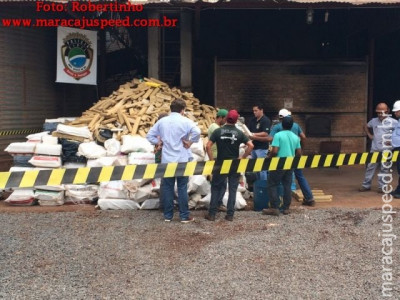 Maracaju: Mais de 14 toneladas de entorpecentes estão sendo incineradas