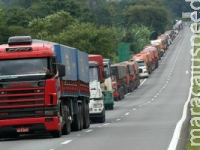 Lei do Caminhoneiro deve baratear o transporte de grãos no Brasil