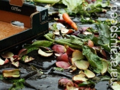 Desperdício de alimentos custa milhões para as cidades