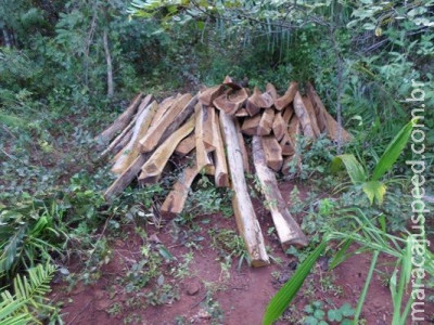 PMA autua fazendeira em R$ 5 mil por exploração ilegal de madeira