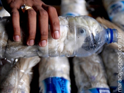 Indonésia encontra 24 aves em extinção presas em garrafas plásticas