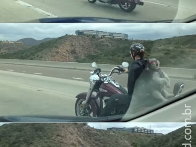 Motociclista é flagrado com cão como mochila a 110km/h