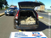Durante fiscalização, PRF recupera veículo roubado com quase 1 tonelada de maconha